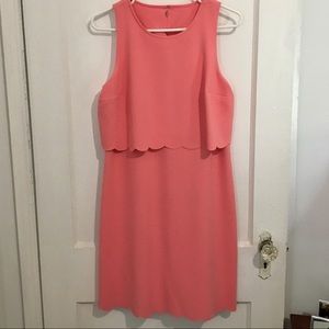 Loft Coral Scalloped Trim Dress